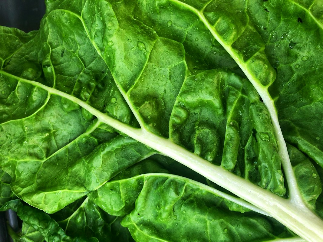 Historia de Nutritionlabsmart